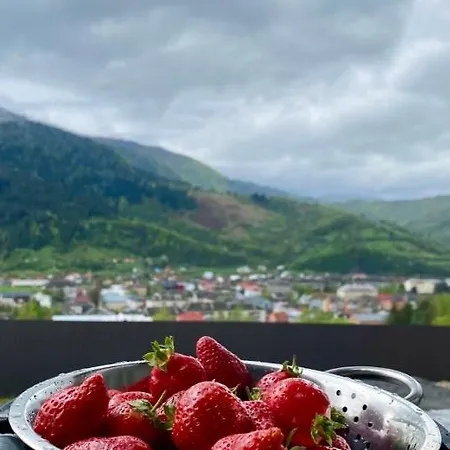 кичера Vakantiehuis