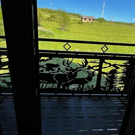 кичера * Mizhhirya (Transcarpathia)