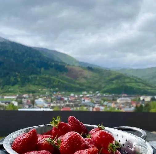 кичера 펜션